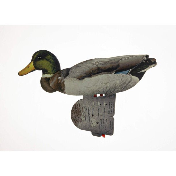 6 Full Sized Collapsible Mallard Duck Hunting Decoy