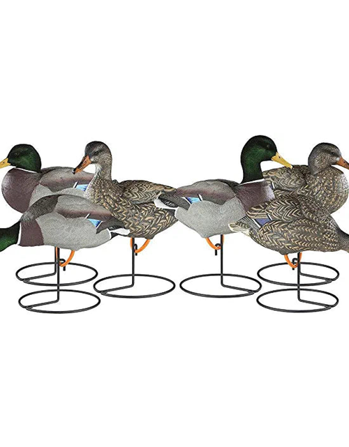 Load image into Gallery viewer, Dakota Decoy Full Body Mallard (Pk/6)
