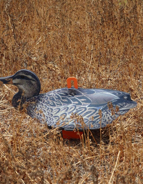 Load image into Gallery viewer, 6 Full Sized Collapsible Mallard Duck Hunting Decoy
