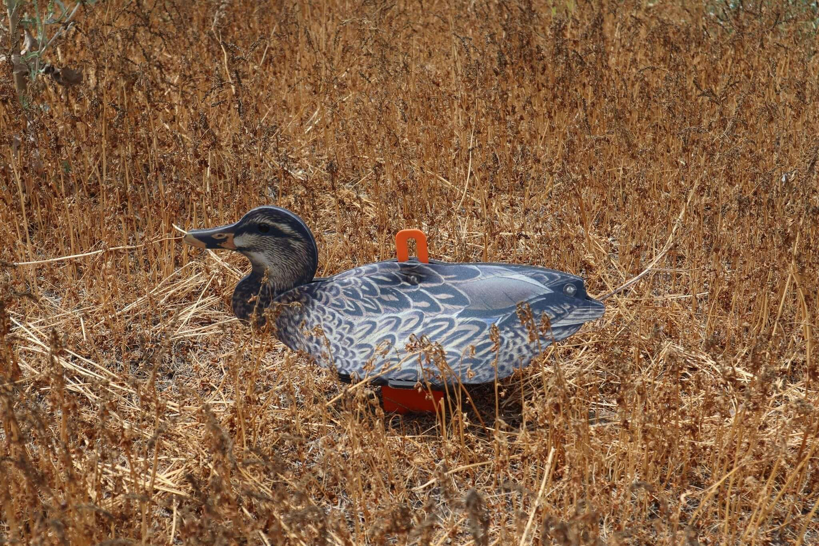 6 Full Sized Collapsible Mallard Duck Hunting Decoy