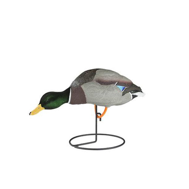 Dakota Decoy Full Body Mallard (Pk/6)