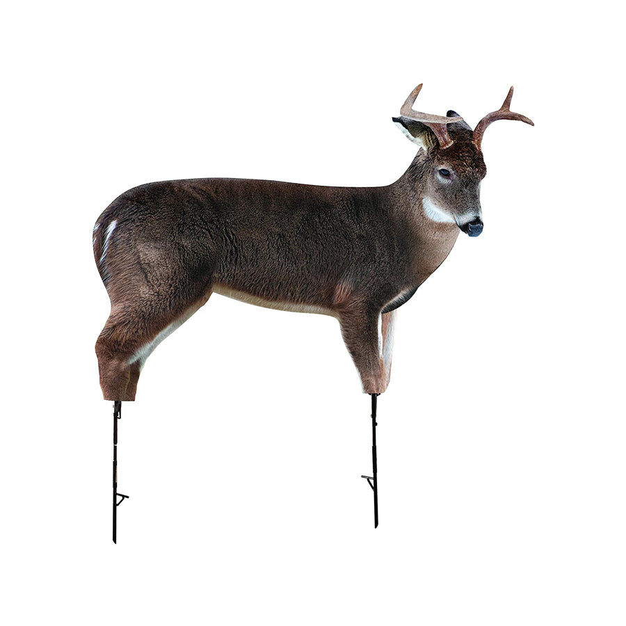 The Freshman (Whitetail Buck) Hunting Decoy