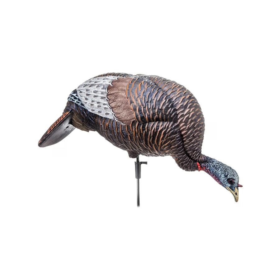 Plastic Outdoor Thunder Chicken Feeding Hen Turkey Decoy