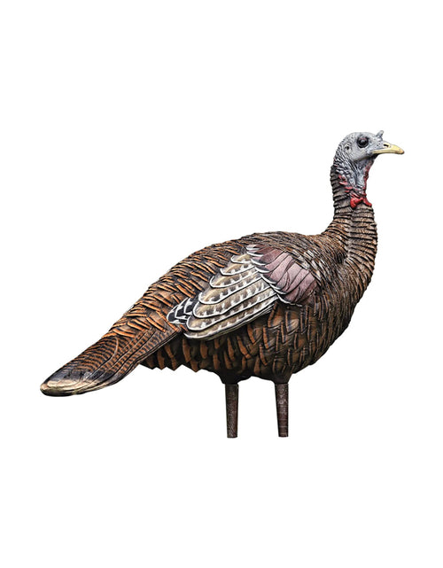 Load image into Gallery viewer, Lookout Hen Turkey Decoy
