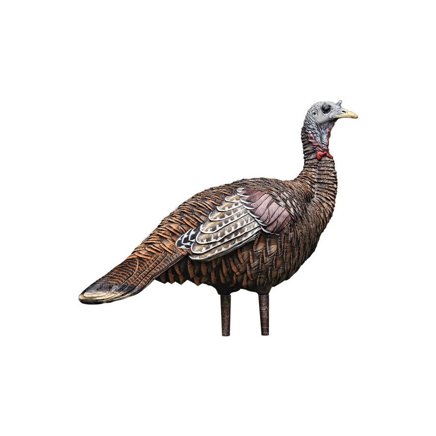 Lookout Hen Turkey Decoy